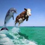 Vegano avatar
