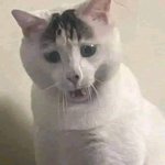 MIGUEL NAMIKAZE avatar