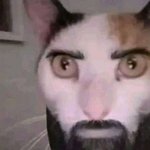 KasureMadoka avatar