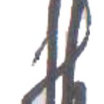 Senju