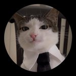 sazuza avatar