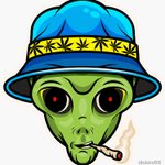 ALBozZ avatar