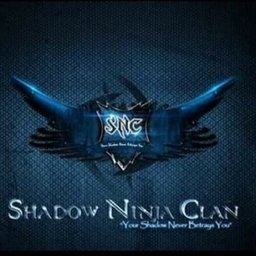Shad0w Ninja Clan