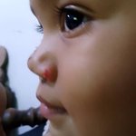 freel