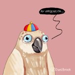 zXDoflamingoXz avatar