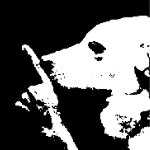 Lukovski avatar
